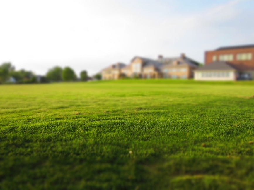 grass services in greater toronto area