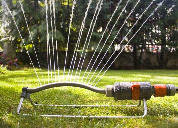 Watering Your Lawn