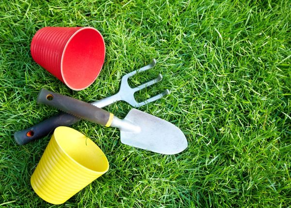 Get Your Lawn Ready For Spring