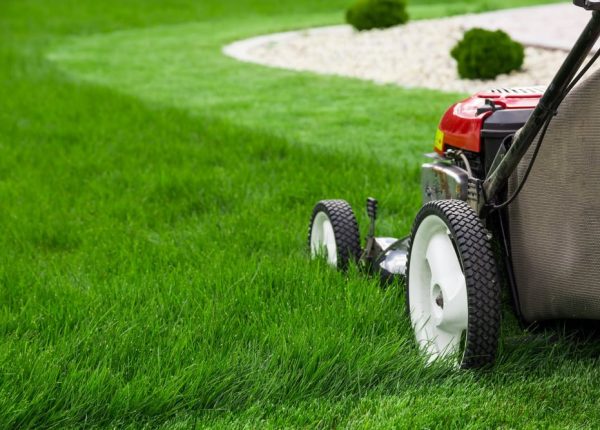 Tips for Lawn Mowing