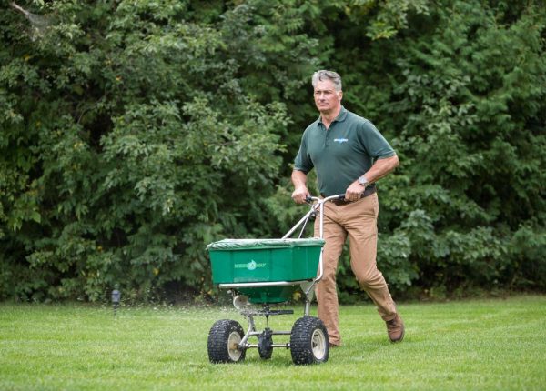 When Should You Seed Your Lawn?