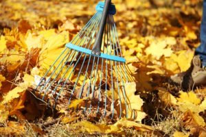 Leaf raking