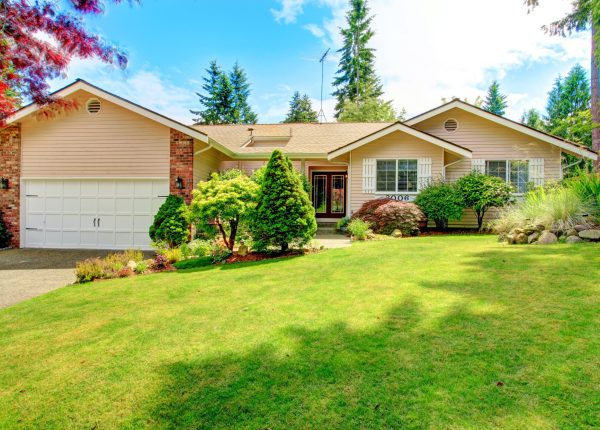 3 Common Reasons Your Grass Isn’t Growing