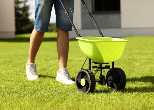 What You Should Be Doing Right Now to Your Lawn: Top Tips for April Lawn Care