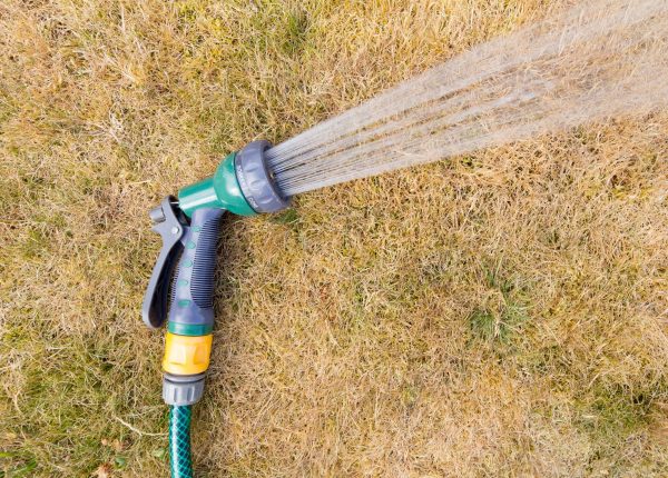 Tips to Revive Your Lawn After a Drought