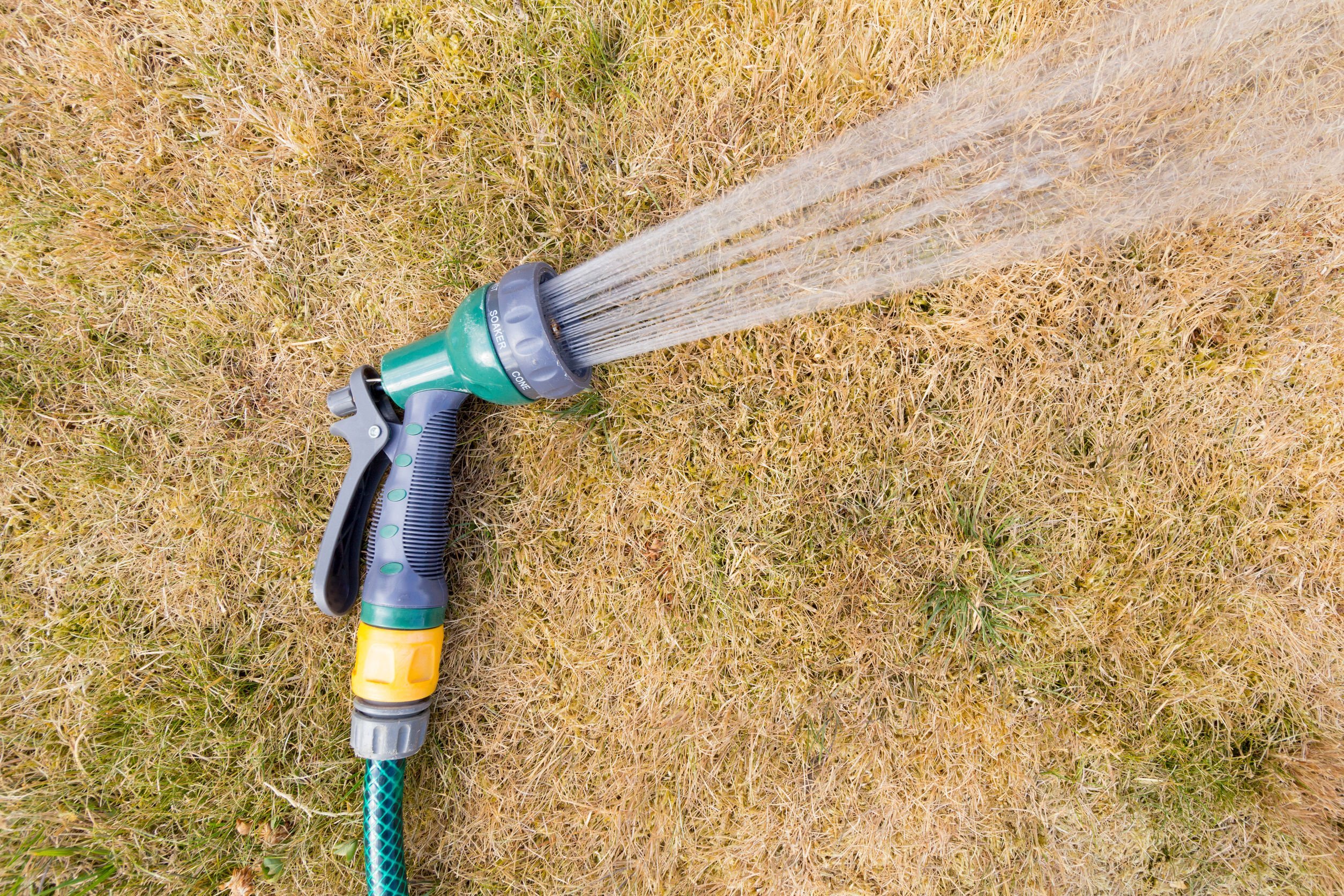 lawn-care-before-during-and-after-a-drought-lawnstarter