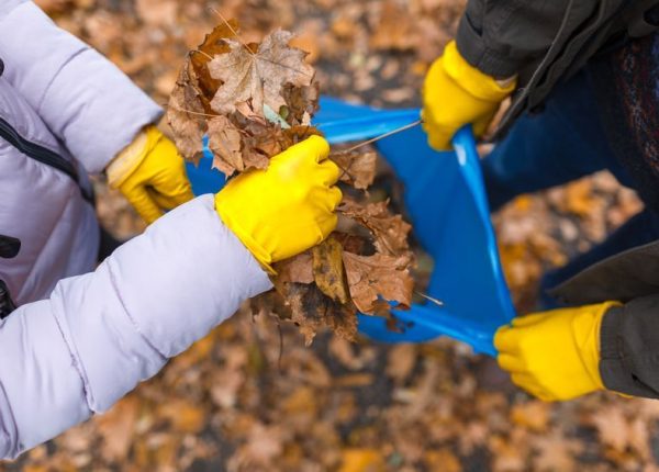 Fall Lawn Maintenance: Prepping Your Lawn and Garden for the Upcoming Fall Months