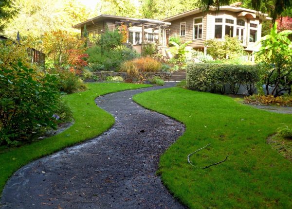Aeration FAQs: How Often Should You Aerate Your Lawn?
