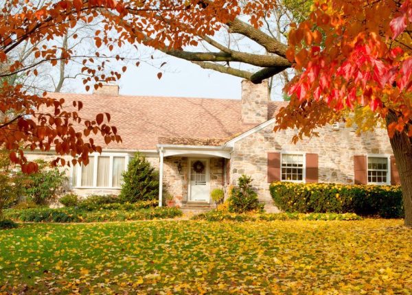 7 Lawn Maintenance Tips for the Autumn Months