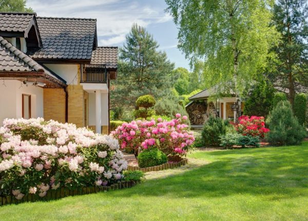 9 Lawn Maintenance Tips for the Start of Spring