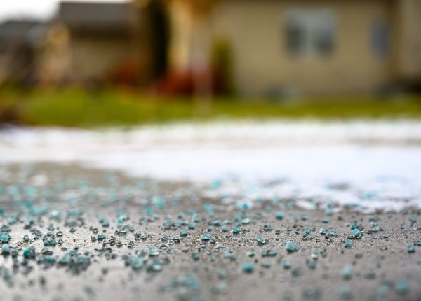 Protecting Your Lawn from Winter Salt
