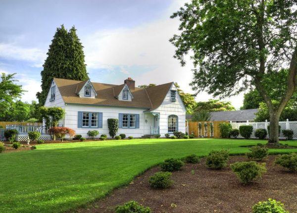 5 Lawn Aeration Tips: Help Your Grass Breathe Easy