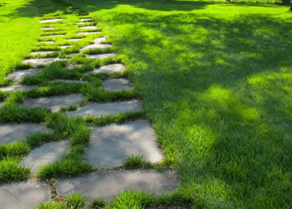 10 Advantages of Organic Lawn Care