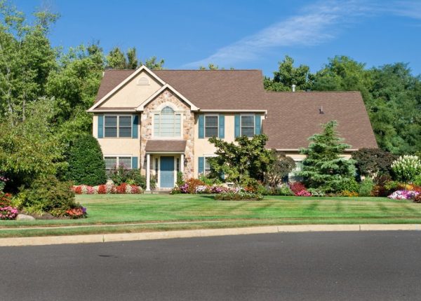 5 Tips to Reseed Your Lawn Successfully