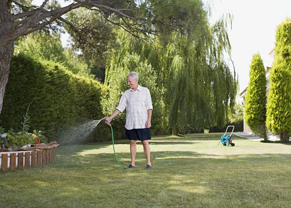 How to Maintain Your Lawn Without Overwatering