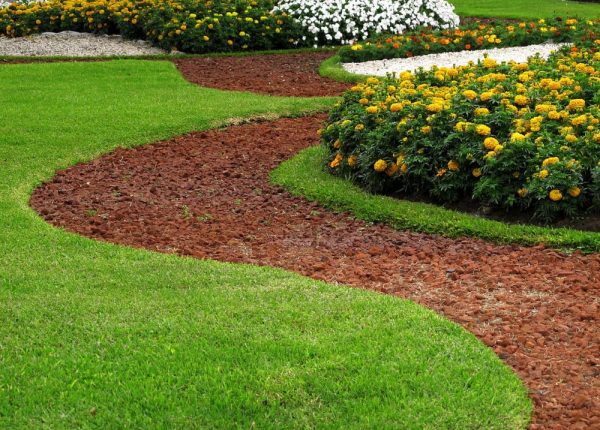 Lawn Care Questions: How High Should My Grass Be?