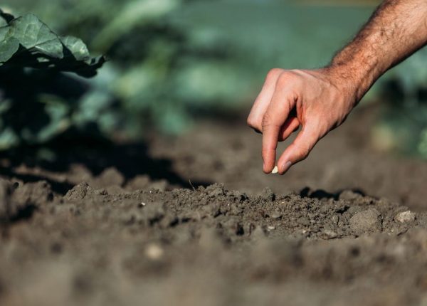 What Is Soil Made Of?