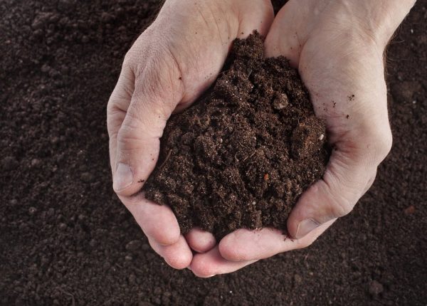 Why Does Soil Become Infertile?