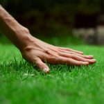 LawnCare_Premiun