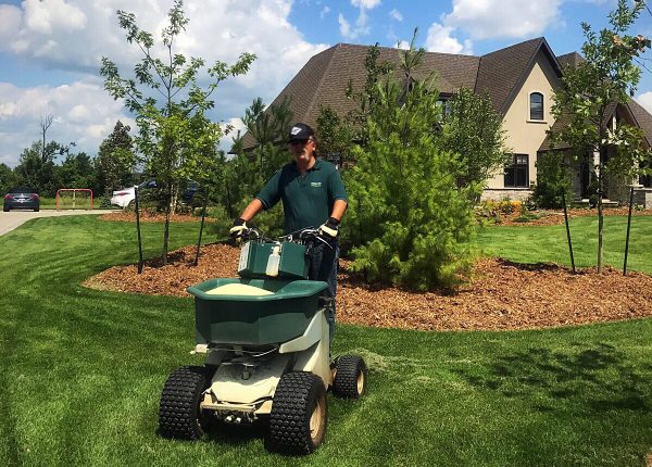 Spring Lawn Care Services: Preparing Your Yard for Growth