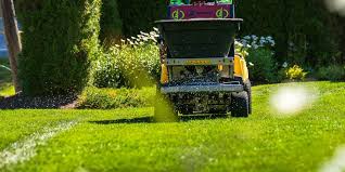 Overseeding vs. Lawn Repair: What Your Lawn Really Needs This Spring