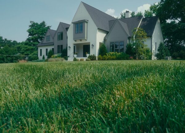 Signs Your Lawn Needs Professional Care and Maintenance in Mississauga | Weedaway