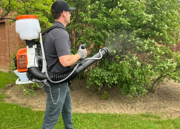 What to   Expect from a Professional Mosquito Control Service in Ontario | Weed-A-Way