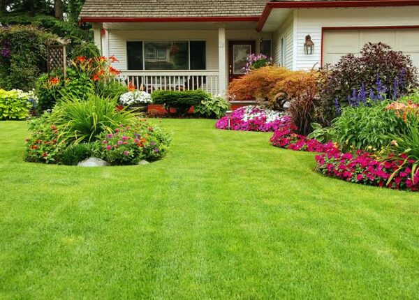 How Often Should You Fertilize and Treat Your Lawn in Ontario?