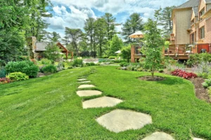 Lawn Care services