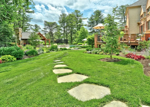 Summer Lawn Care Tips to Protect Your Grass from Heat Stress