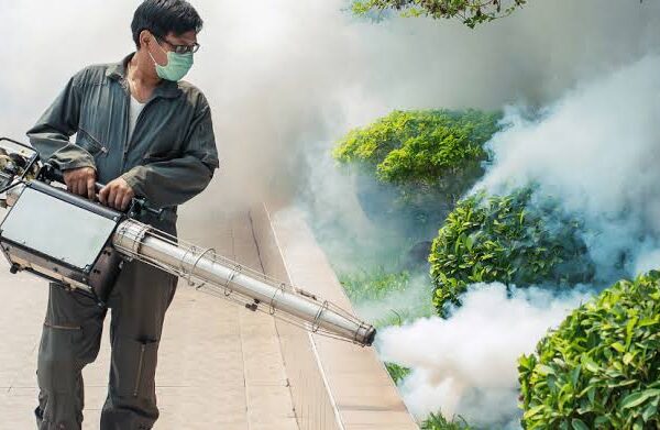 How Mosquito Control Services Help Protect Your Family from Diseases