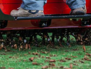 Lawn Aeration Brampton
