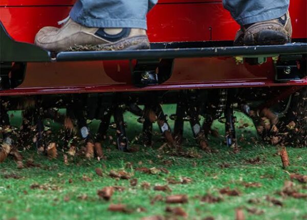 10 Common Lawn Problems Liquid Aeration Can Solve in Brampton