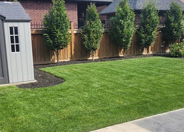 How Professional Lawn Aeration Services in Hamilton Improve Grass Growth
